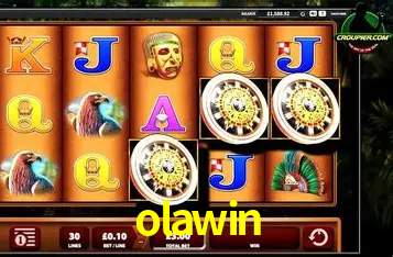 Interface Premium olawin